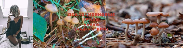 героин Белоозёрский