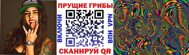 Псилоцибиновые грибы мицелий Гремячинск